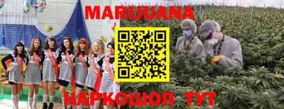 индика Мариинск